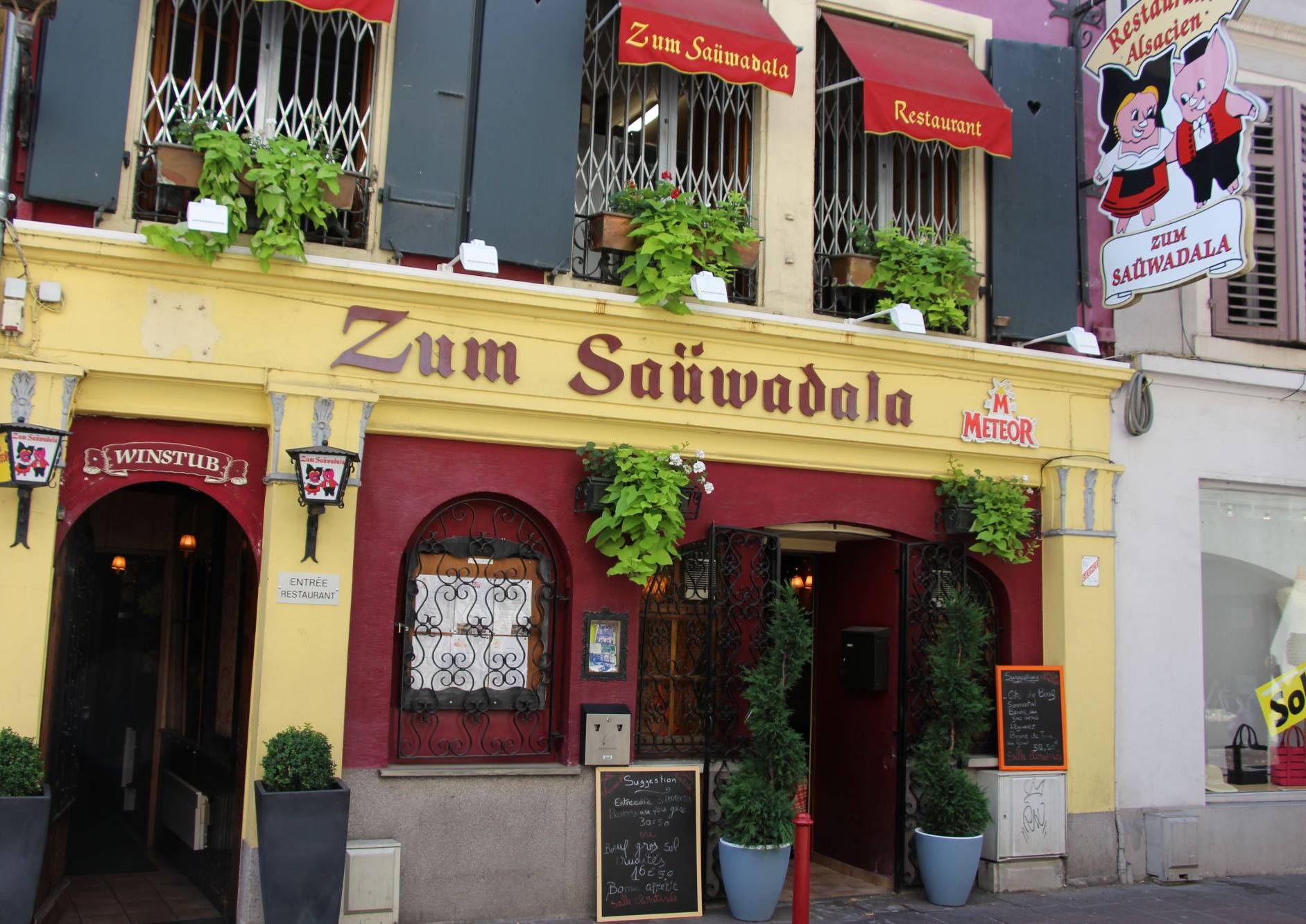 BACKGROUND0 | Zum Saüwadala Vidéos Saint-Louis